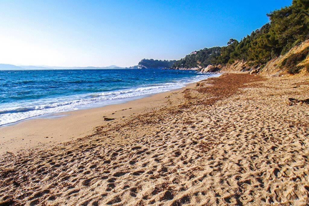 Superbe T2 Lumineux 3*** 10 Mn A Pied De La Plage Apartment Le Pradet Bagian luar foto